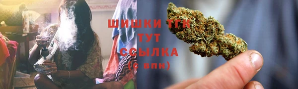 ешки Богданович