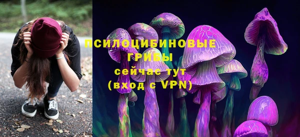 ешки Богданович