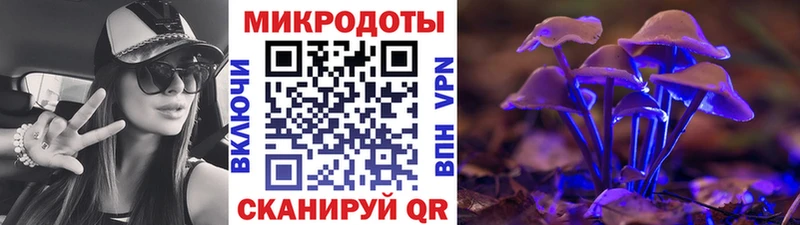 наркота  Буинск  Псилоцибиновые грибы Psilocybe 