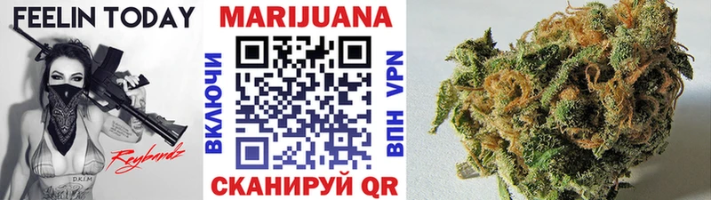 Конопля сатива  Буинск 